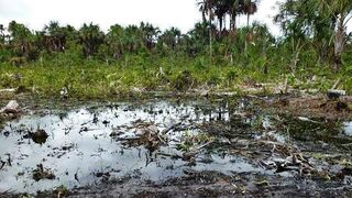 Derrame de petróleo en la Amazonía