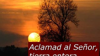 Aclamad, tocad, cantad