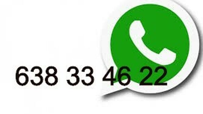 Whatsapp de RD