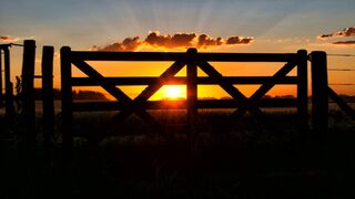 Comentario bíblico 4to domingo de Pascua