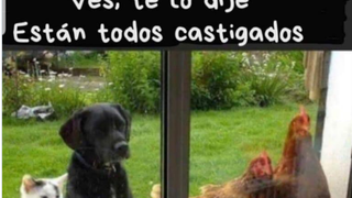 Castigados (sin entrar)