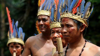 Indígenas brasileños