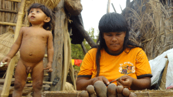 Araguaia, región amazónica en Brasil