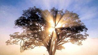 "Sólo espero el gozo de abrazarte"