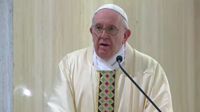 Francisco: “El Señor nos necesita. La vid también necesita de los frutos, del testimonio”