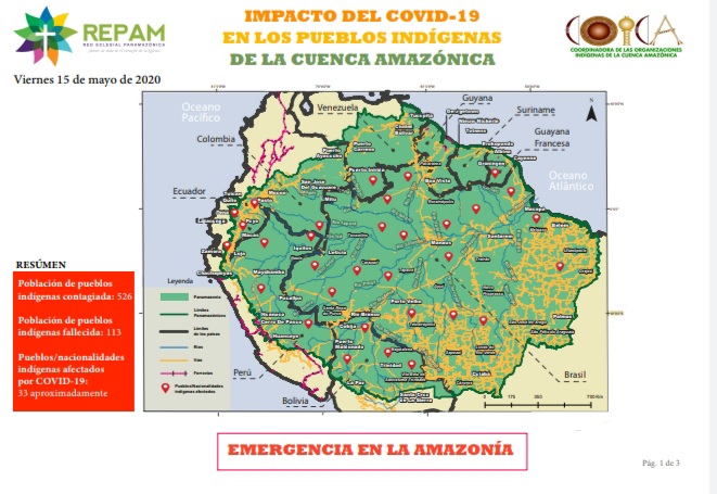 Informe COICA y REPAM