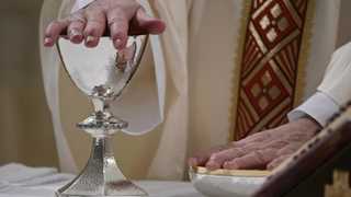 El Papa, en Santa Marta