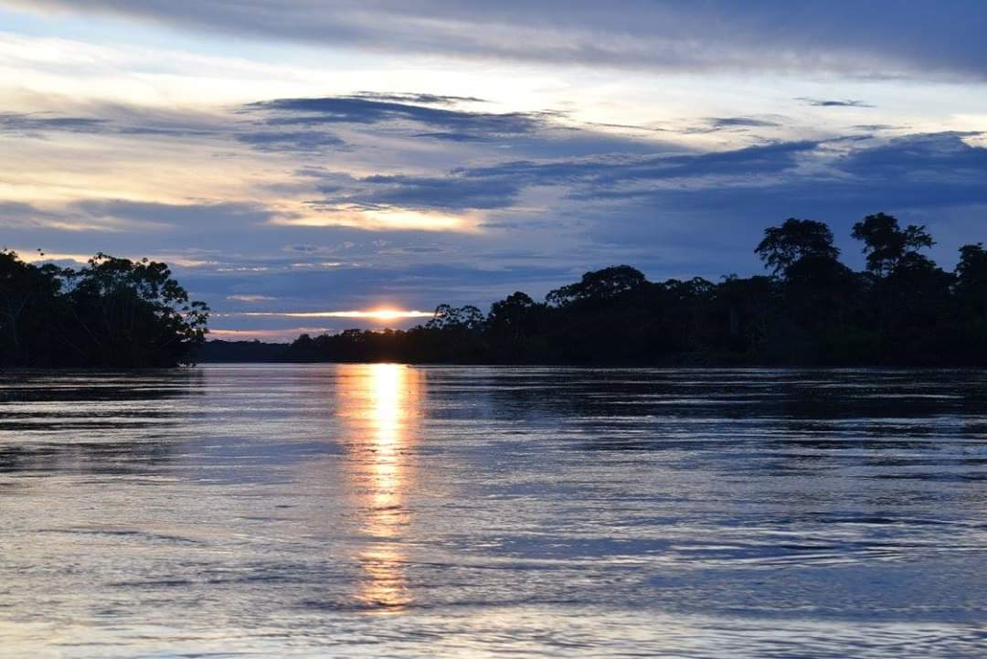 La luz del día vuelve en la Amazonía