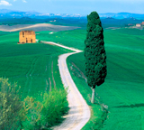 camino-toscana8