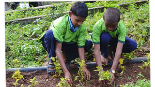 Un mundo mejor. ico años de Laudato Si'