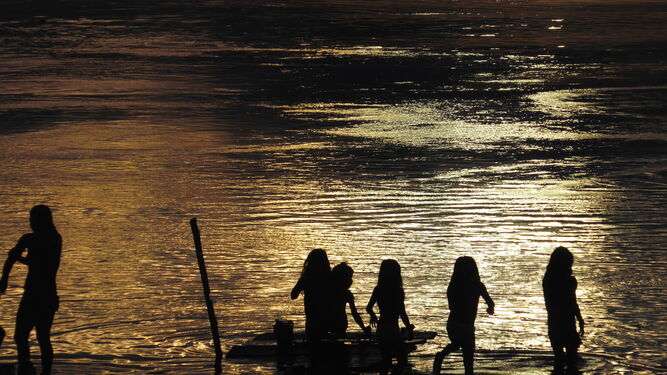 Vida en la Amazonía