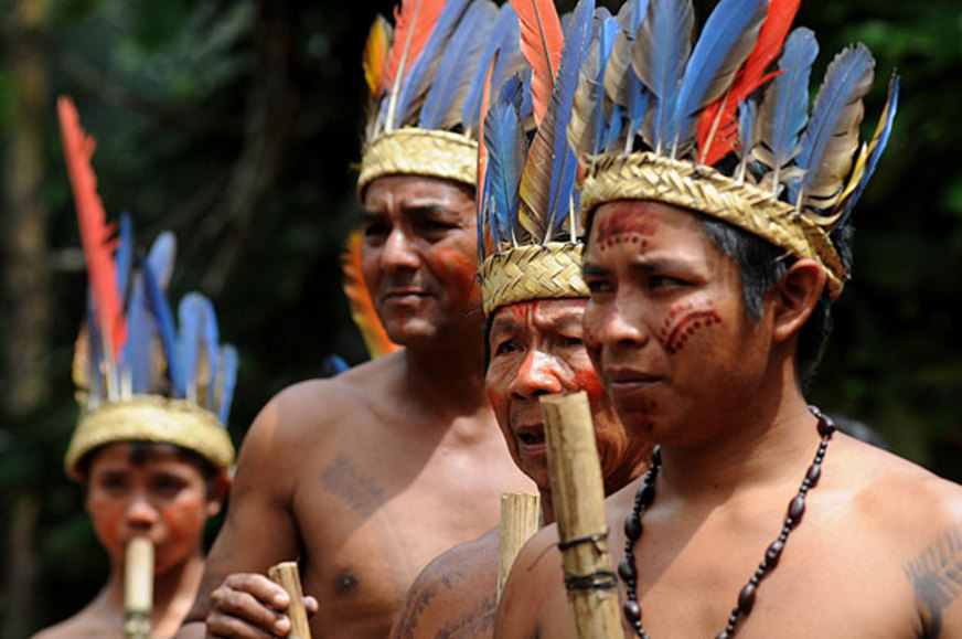 Indígenas brasileños 
