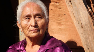 Cultura y pueblos originarios