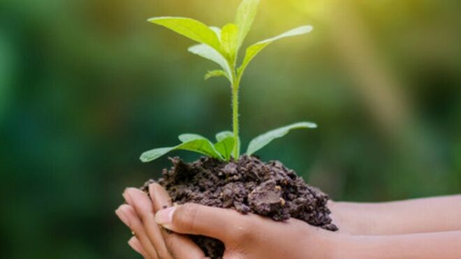 Laudato si'