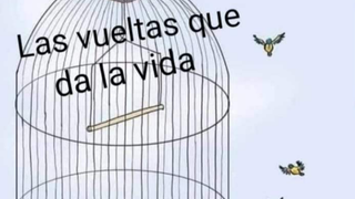 En la jaula vivíamos nosotros