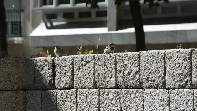 Hemos de cuidar la naturaleza