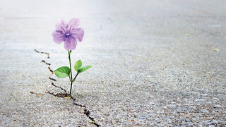 "Hemos de fortalecer la esperanza"