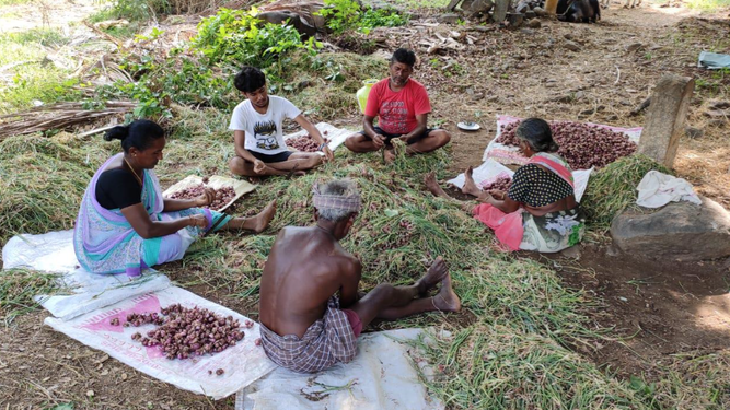 Agricultores en zonas rurales de Tamil Nadu, India