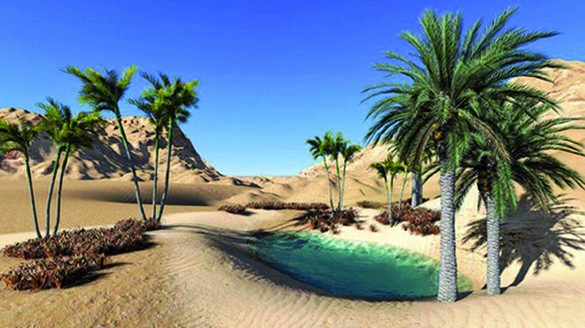 Oasis