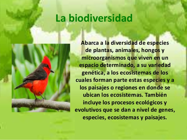 laboratorio-sobre-la-biodiversidad-2-638