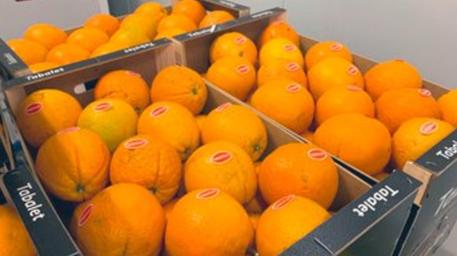 Bancos de alimentos