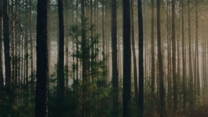 Compromiso de Inversión de Impacto Católico