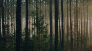 Compromiso de Inversión de Impacto Católico