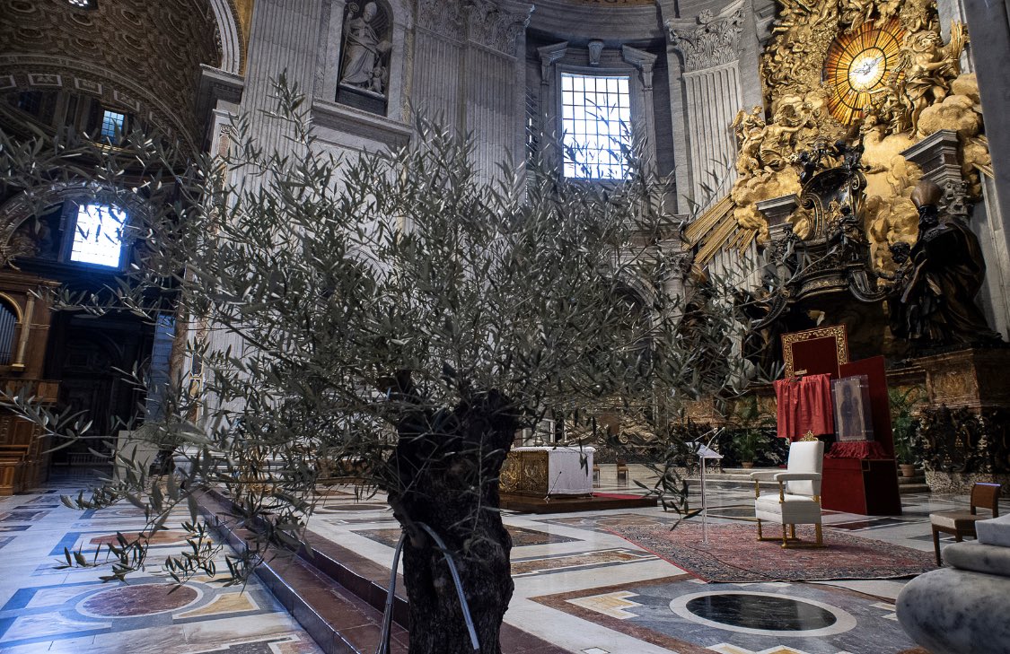 altare della catedra per domenica delle palme coronavirus