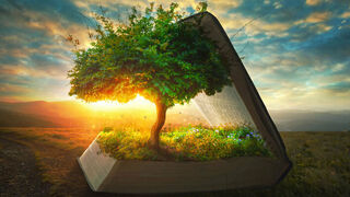 Un alegato a la vida