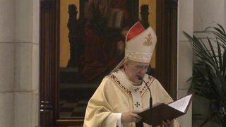 Cardenal Osoro