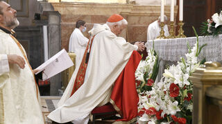 Cañizares pide que no se aprueba la nueva Ley de Educación