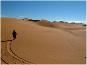 desierto1