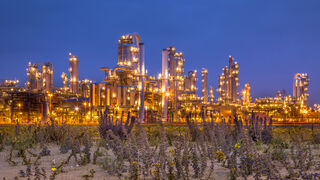 La Iglesia tiene el derecho y la obligación de presentar la visión religiosa sobre la crisis ecológica