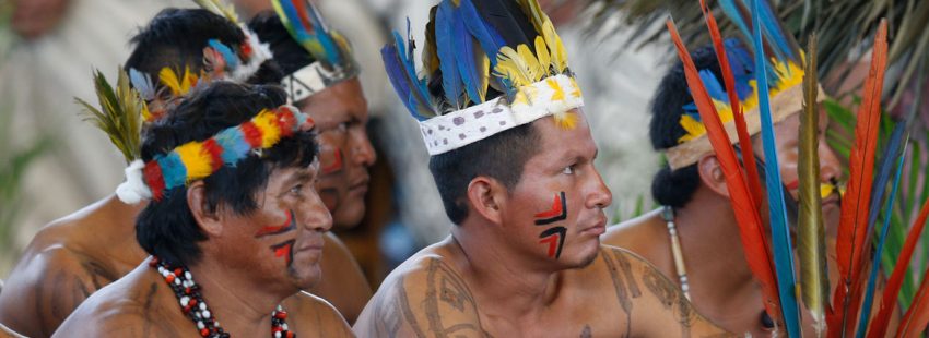 francisco-peru-amazonia-10-850x310