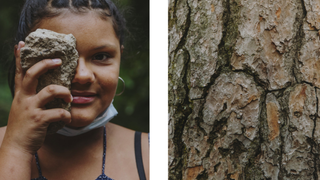 Medicina de bosque para olvidar el confinamiento