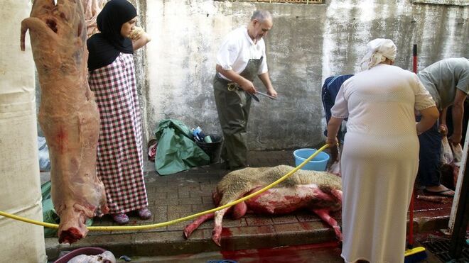 Ceuta suspende el tradicional rito musulmán del cordero