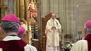 Monseñor Fernández