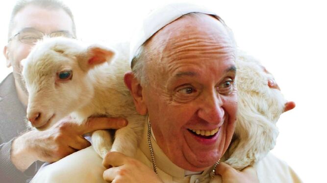 Papa Francisco
