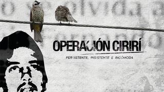 "Operación cirirí: persistente, insistente e incómoda "
