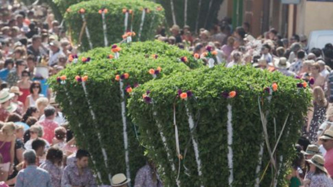 Albahacas a la Virgen de Agosto