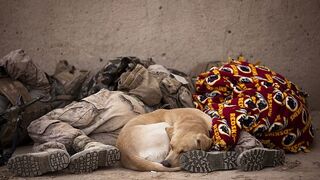 Comentario Evangelio domingo 20 "A"