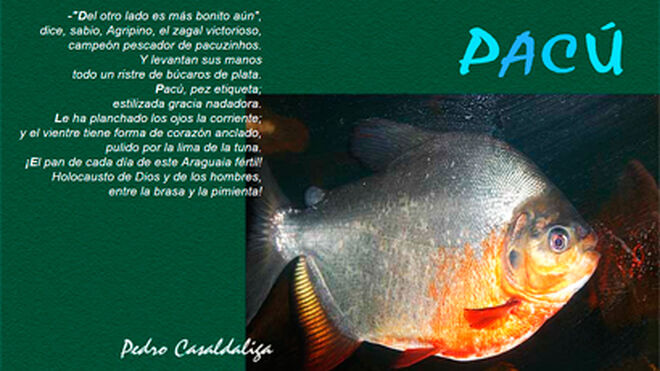 PACÚ