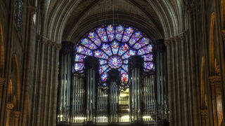 Arranca la restauración del órgano, uno de los ejes de Notre Dame