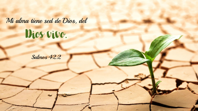 Sed de Dios