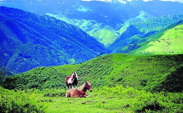 bosque-asturias