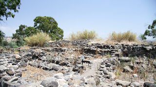 Hallan los restos de Betsaida, donde Jesús realizó el milagro de los panes y los peces