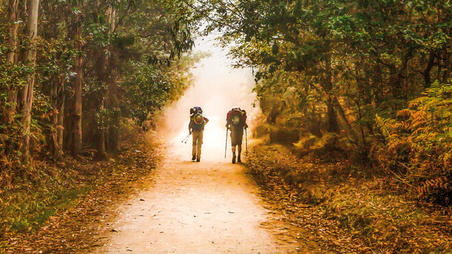 Demasiado vulgar para ser tan trascendente