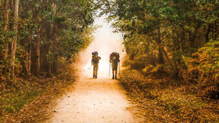 Demasiado vulgar para ser tan trascendente