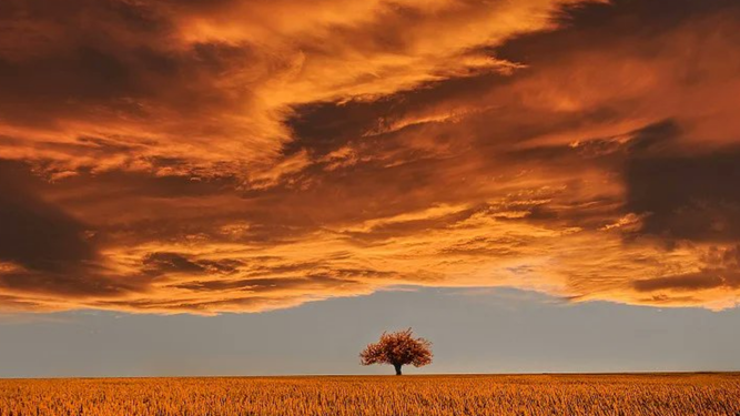 Puesta de sol