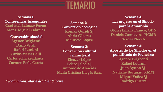 Curso sobre Sínodos del Boston College. Temario